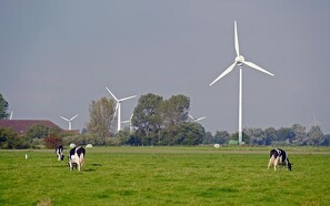 Lokale vindmøller kan bidrage til grønnere biogasproduktion
