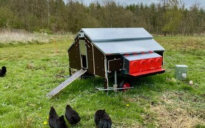 Hønsehus på hjul til bæredygtigt hønsehold