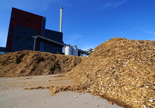 Energibranchen vil have bæredygtig biomasse