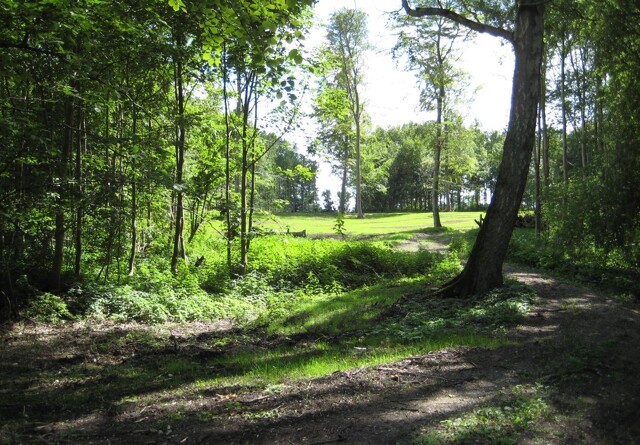 Samarbejde vil omdanne områder med lav naturværdi til sunde, danske skove