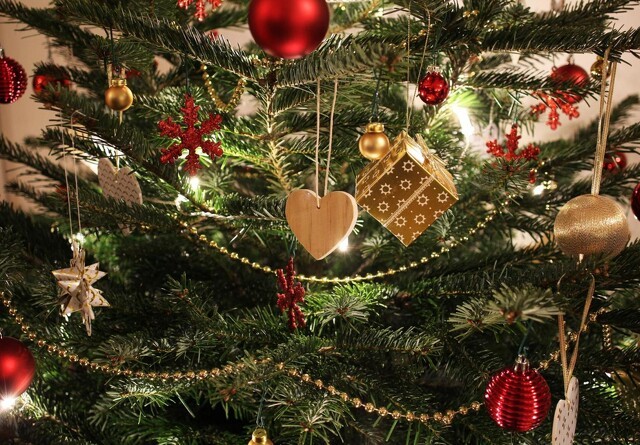 Guide: Hold juletræet friskt hele julen