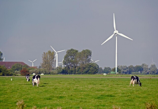 Lokale vindmøller kan bidrage til grønnere biogasproduktion